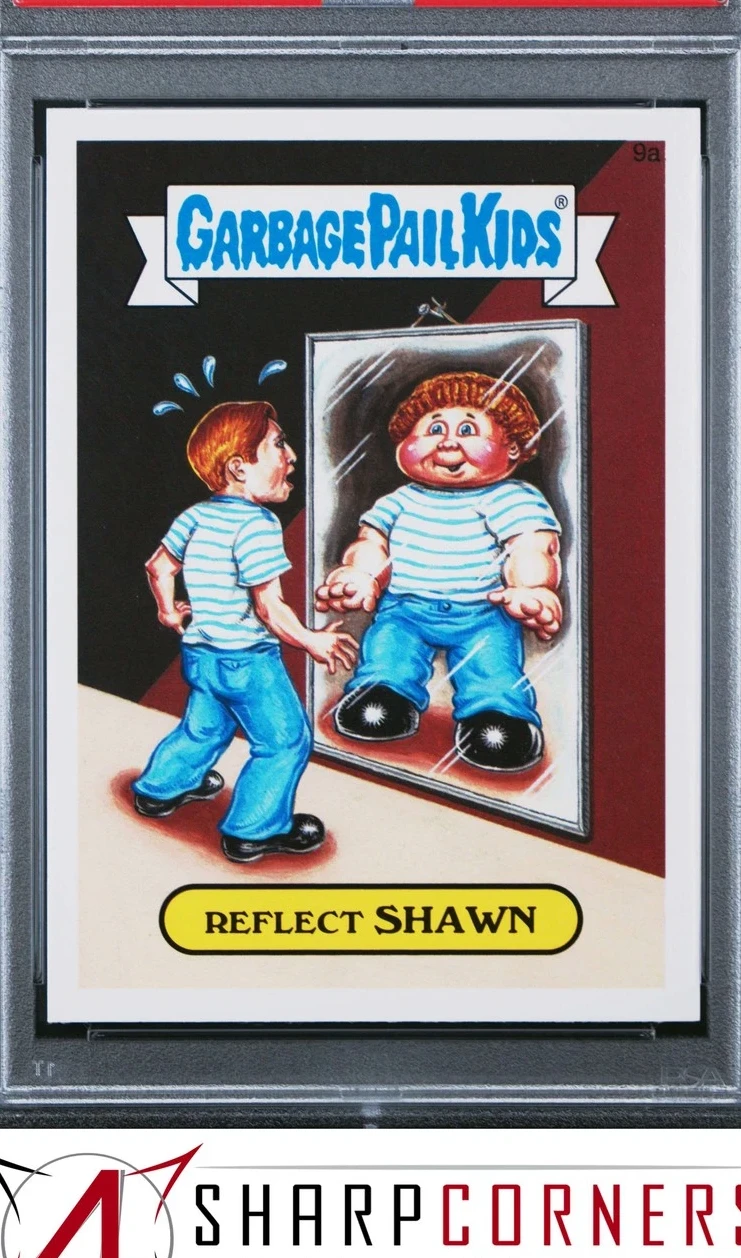 Reflect Shawn