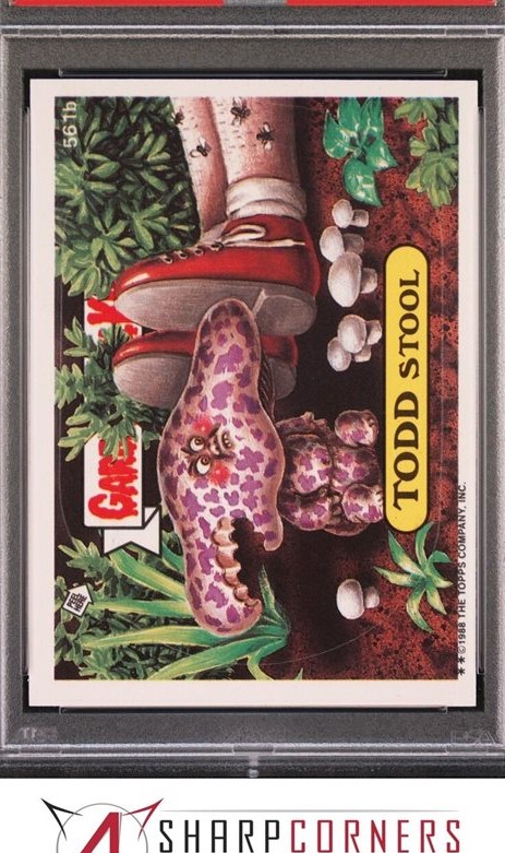 Todd Stool
