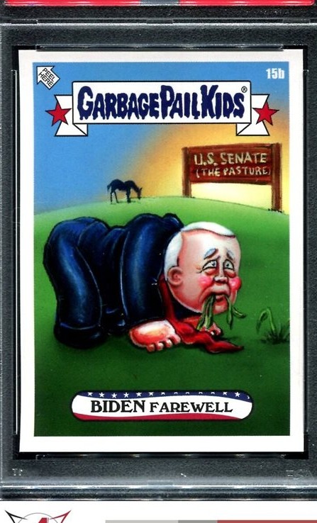 Biden Farewell