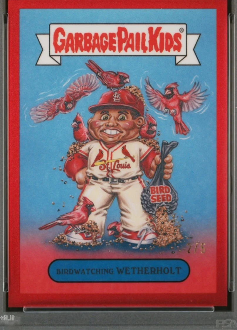 Jj Wetherholt Birdwatching Wetherholt
