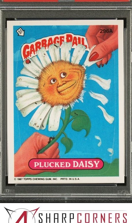 Plucked Daisy