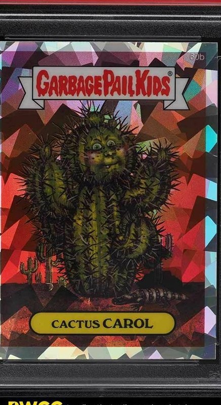 Cactus Carol
