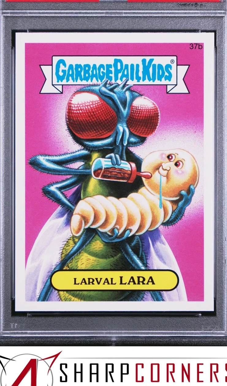 Larval Lara