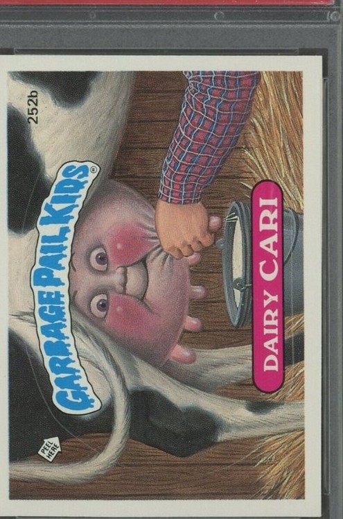 Dairy Cari
