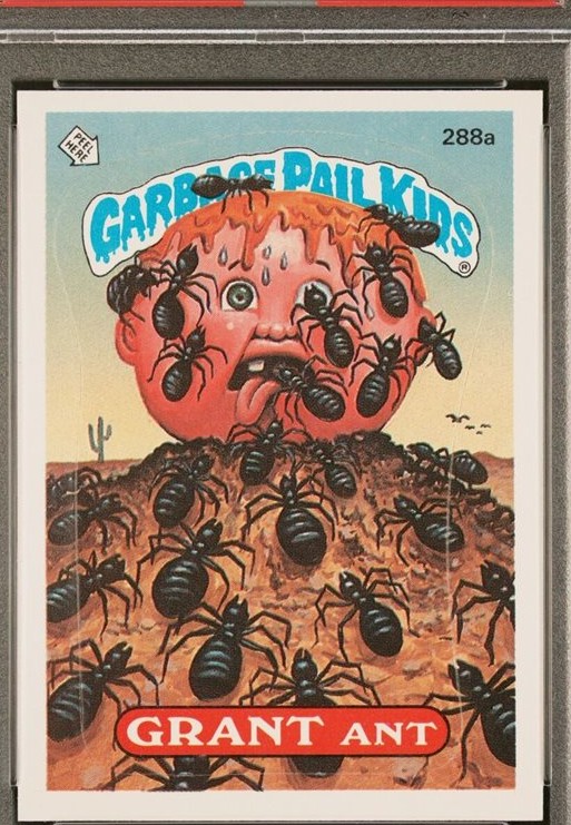 Grant Ant