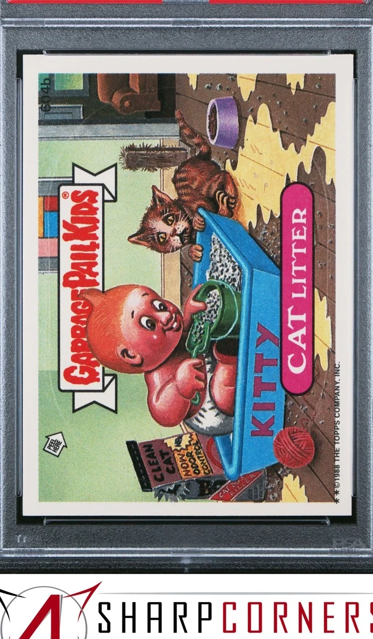 Cat Litter