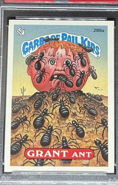 Grant Ant