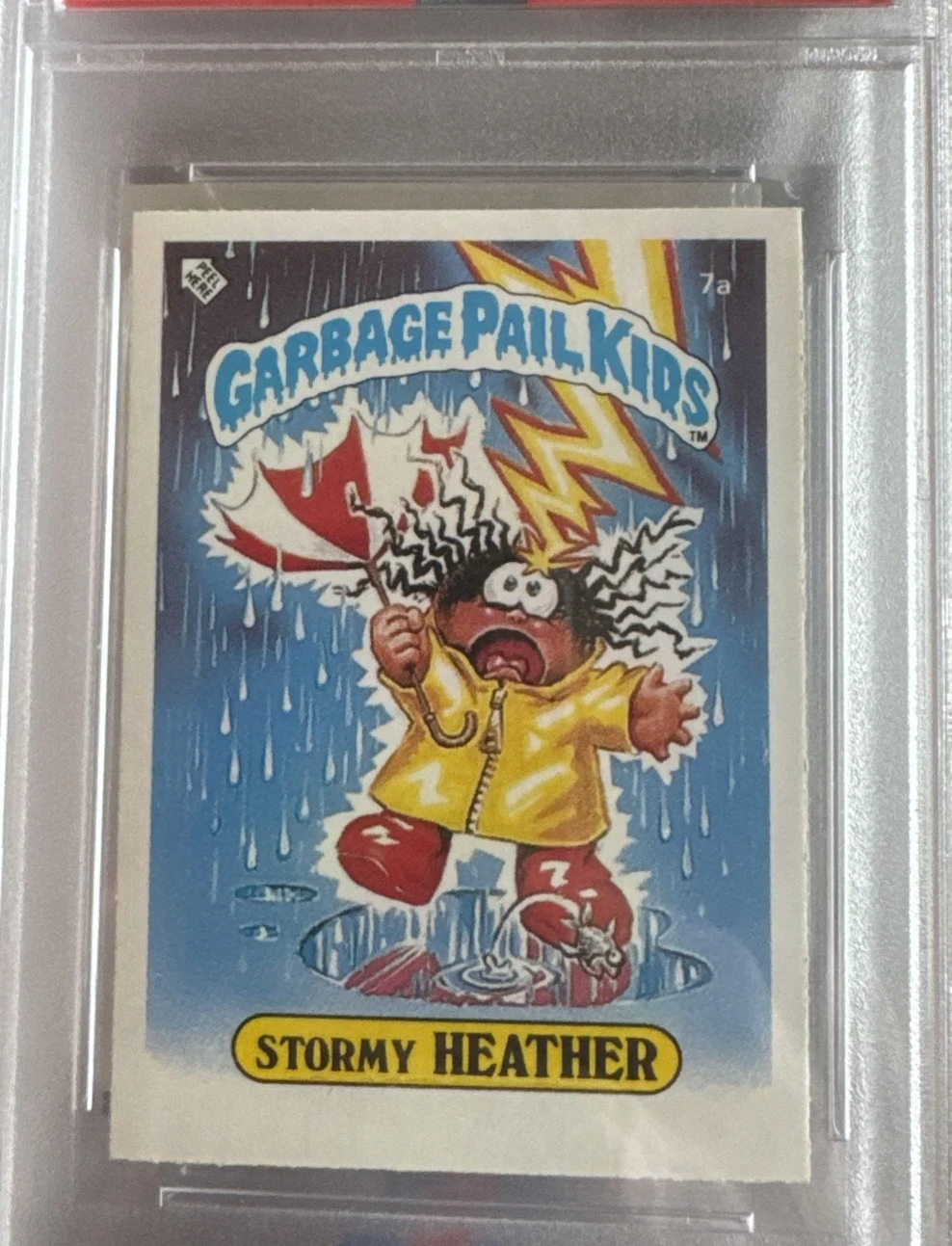 Stormy Heather