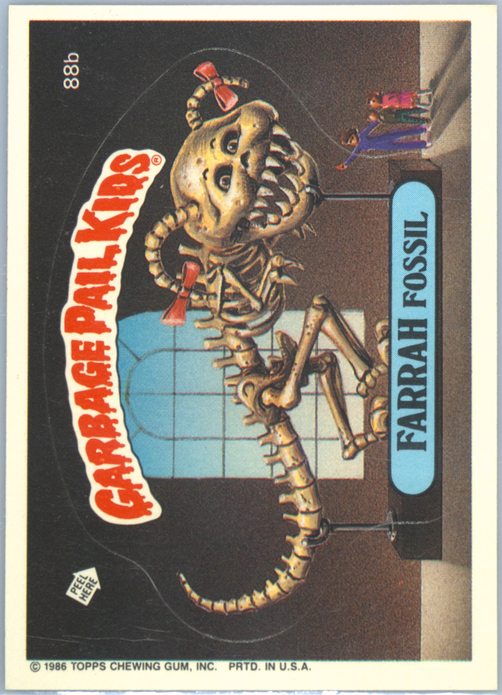 Farrah Fossil