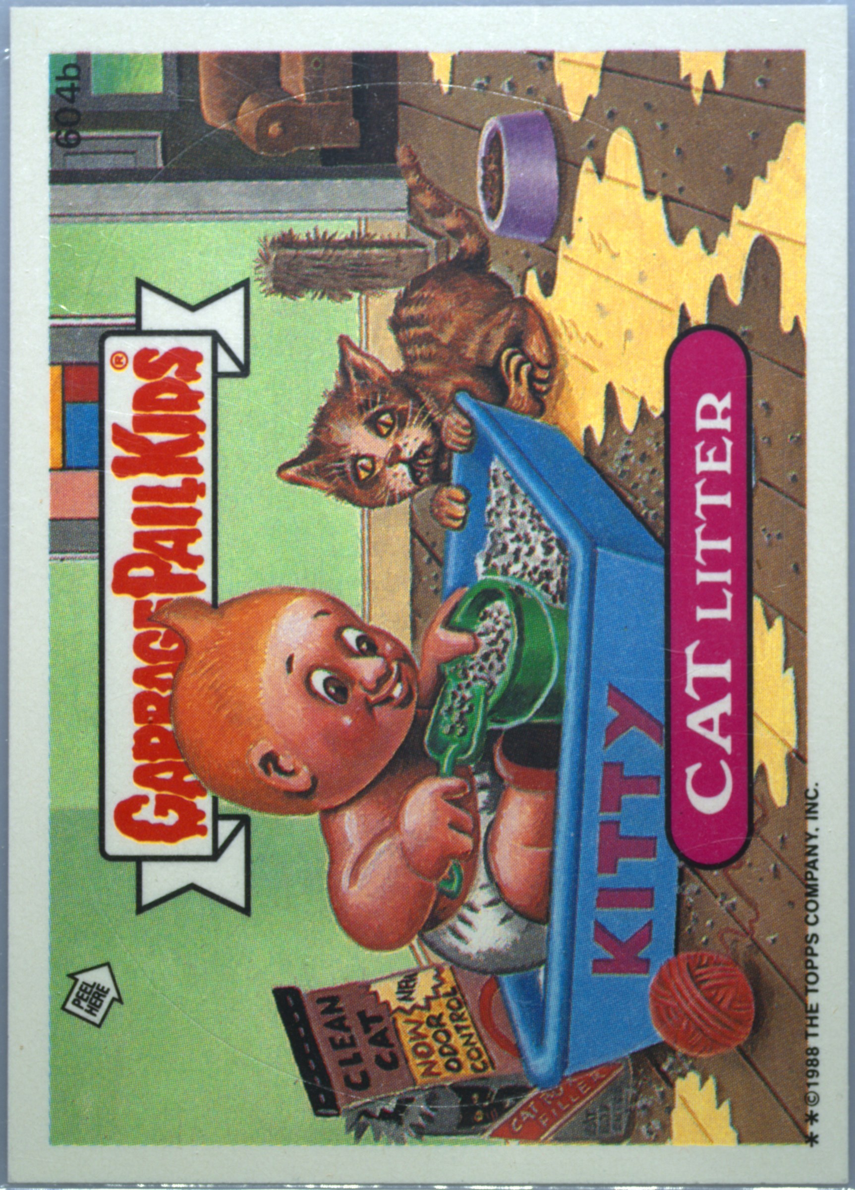 Cat Litter