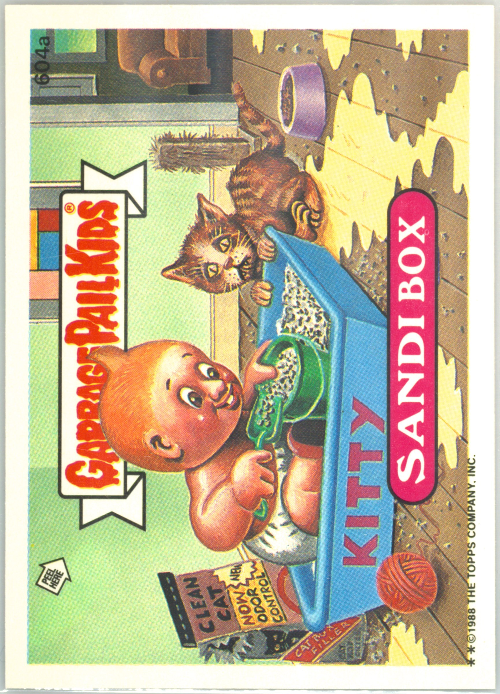 Sandi Box